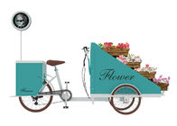 Commercial Electric Food Vending Tricycles Fashion Appearance CE Approval