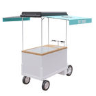 Stationable Version Bicycle Push Cart Large Storage With 125L Class III Freezer