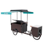 New Style 3 Wheel Cargo Bike , Commercial EQT Electric Cargo Trike