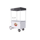 Freezer Cart Scooter Bicycle CE Customized logo For Ice cream Sale White All Stainless Steel