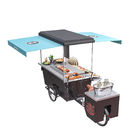 Street Mobile Grill Tricycle Fast Food Vending Cart