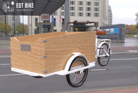 Electric Box Structure Tricycle Cargo Bike For Children