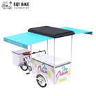 EQT Ice Cream Bike Tricycle Cargo For Street Business Sale freezer bike electric Bicycle for Cold Drinks