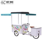 EQT 138L Fridge Ice Cream Tricycle Cargo Bike For Sale High Quality Front Loading Pedal Assist Freezer