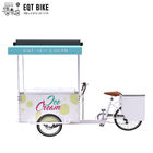 EQT 138L Fridge Ice Cream Tricycle Cargo Bike For Sale High Quality Front Loading Pedal Assist Freezer