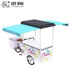 EQT 138L Or 110L Front Load Tricycle Ice Cream Bike For Sales DC Powered Freezer Tricycle Carts Food Trike
