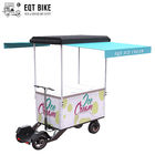 EQT Hot Selling High Quality Outdoor Ice Cream Bike 4 Wheel Electric Vending Ice Cream Bike Freezer Tricycle
